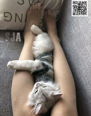 在线电影91_剧情片在线播放观看